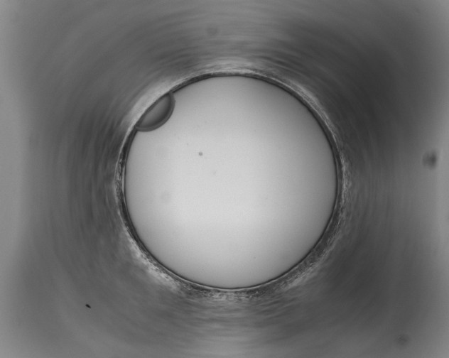 X0000115120901200911171325