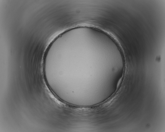 X0000115120902200911171325