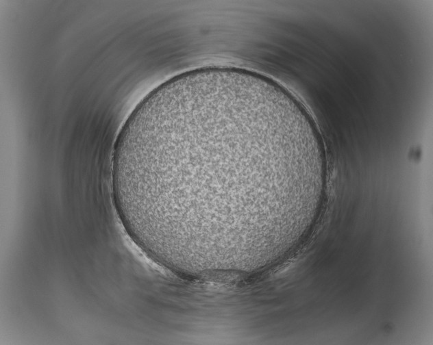 X0000115120903200911171325
