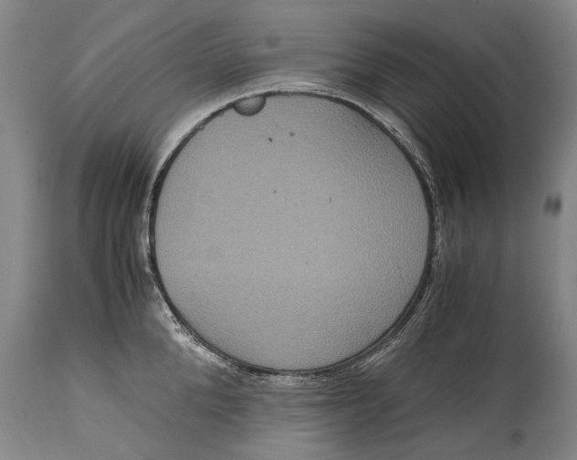 X0000115120904200911171325