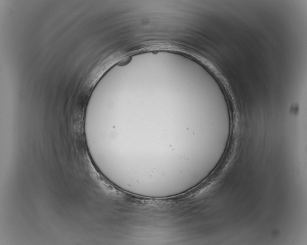 X0000115120905200911171325
