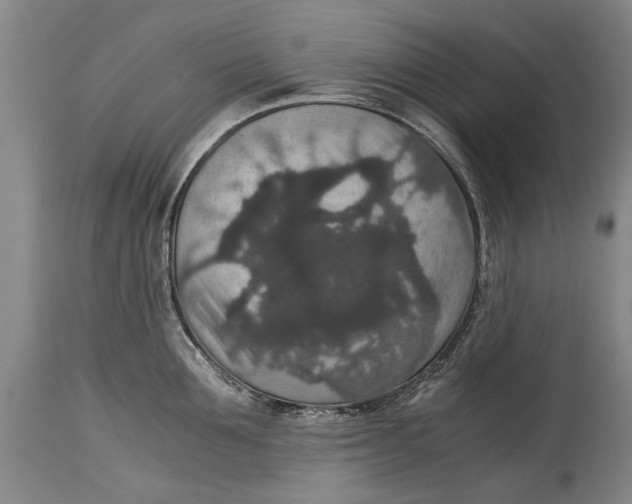 X0000115120907200911171325