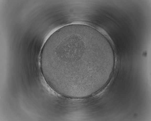 X0000115120908200911171325