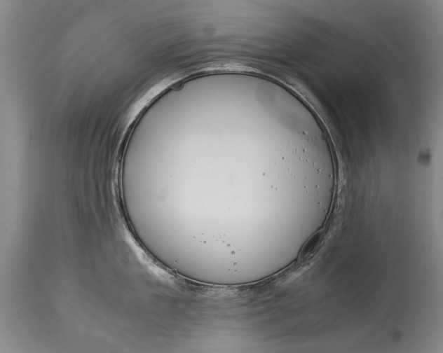 X0000115120909200911171325