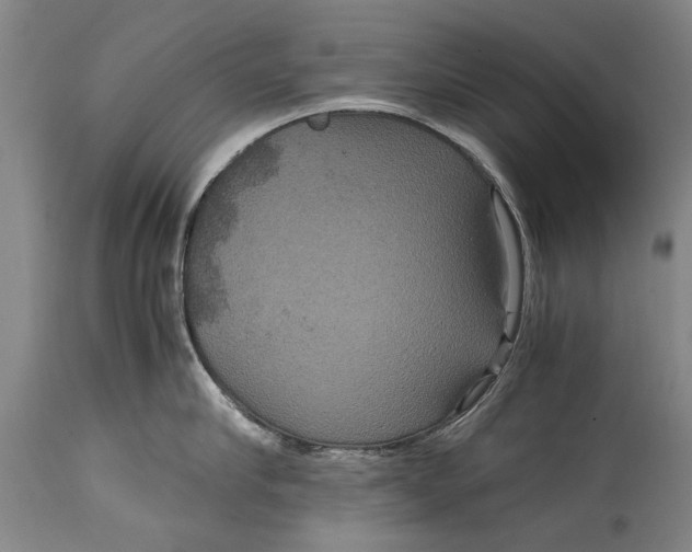 X0000115120910200911171325