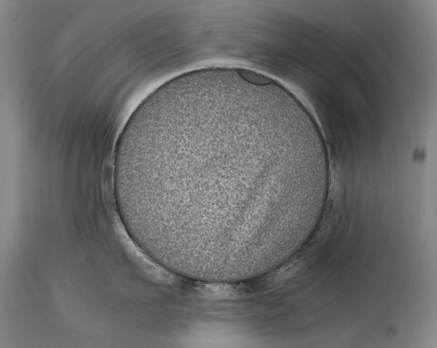 X0000115120911200911171325