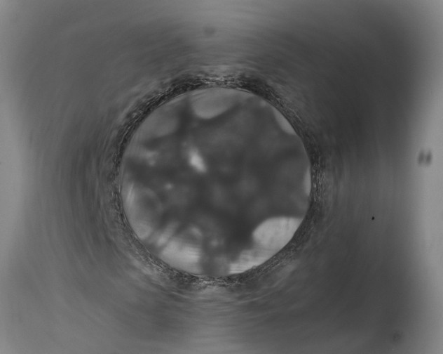X0000115120913200911171324