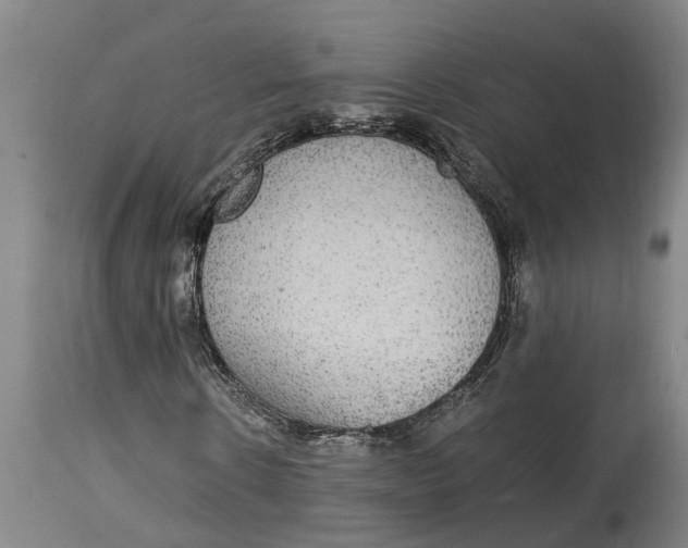 X0000115120914200911171324