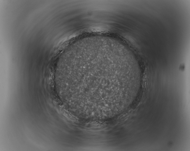 X0000115120917200911171324