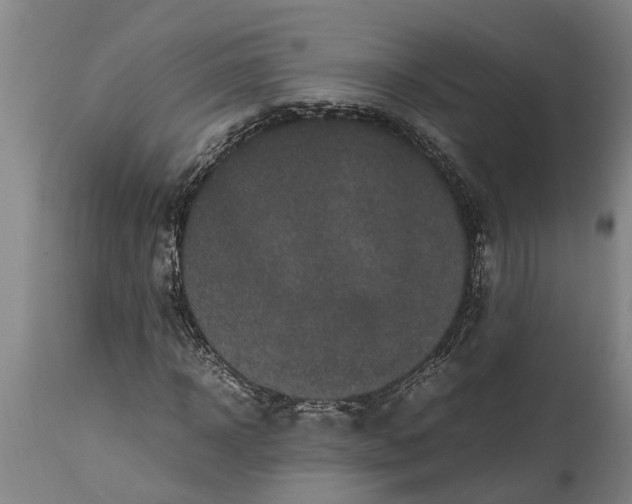 X0000115120918200911171324