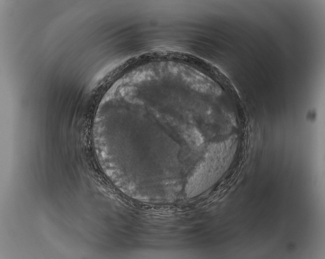 X0000115120919200911171324