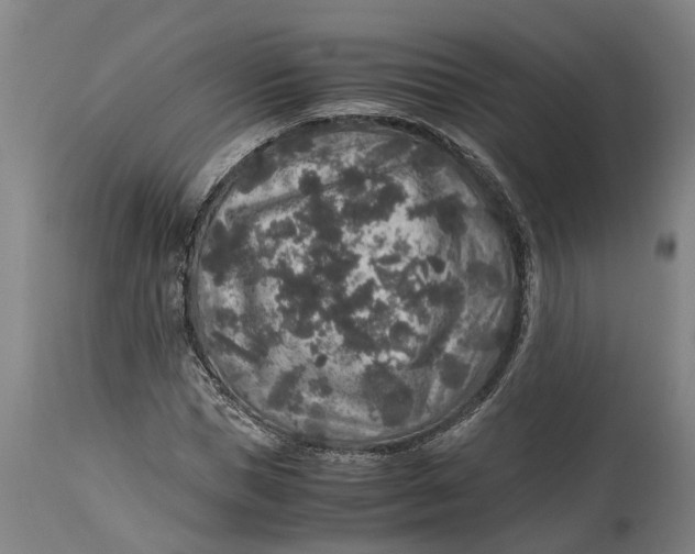 X0000115120921200911171324
