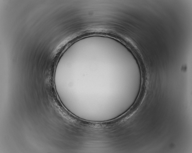 X0000115120922200911171324