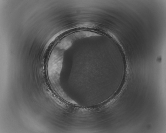 X0000115120923200911171324