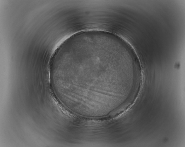 X0000115120925200911171324