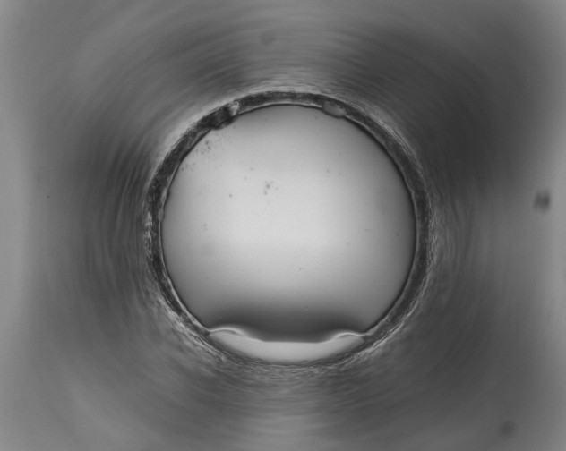 X0000115120926200911171324