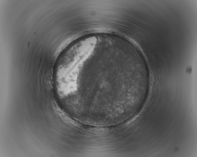 X0000115120930200911171324