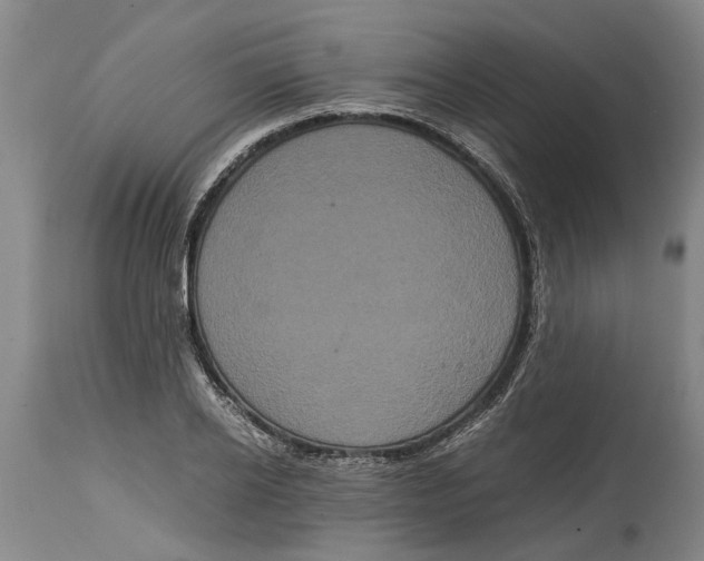 X0000115120934200911171324