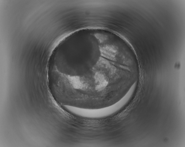 X0000115120935200911171324