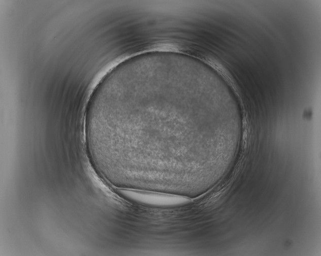 X0000115120939200911171324