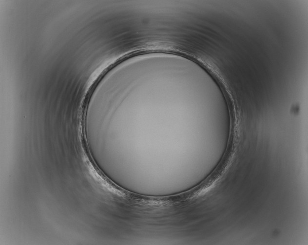 X0000115120941200911171324