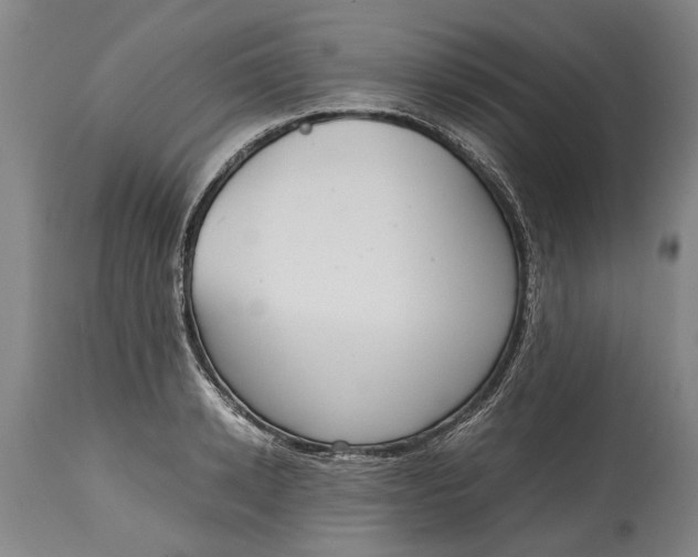 X0000115120942200911171324