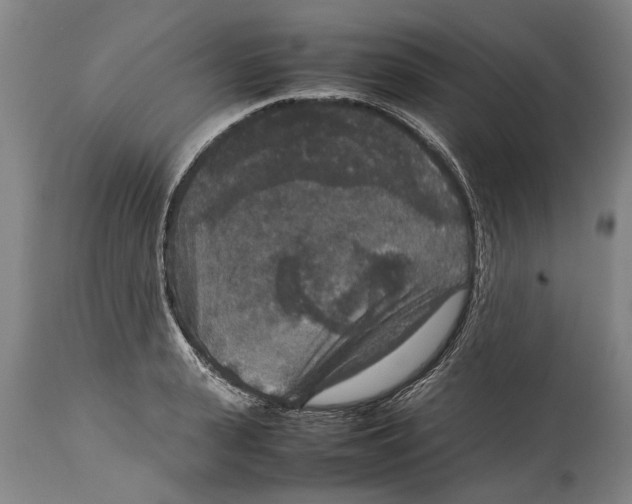 X0000115120943200911171324
