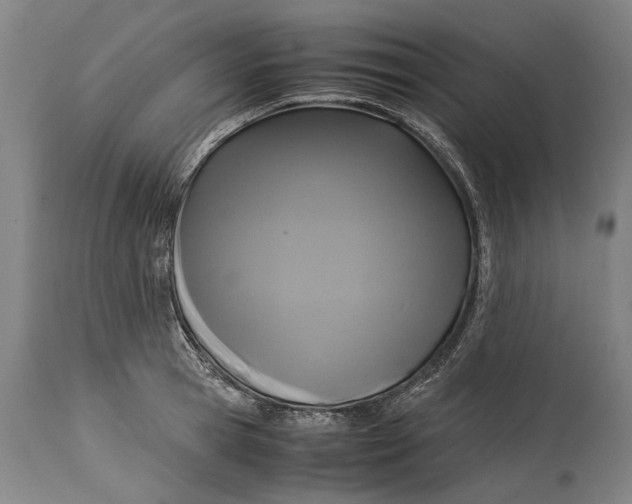 X0000115120945200911171324