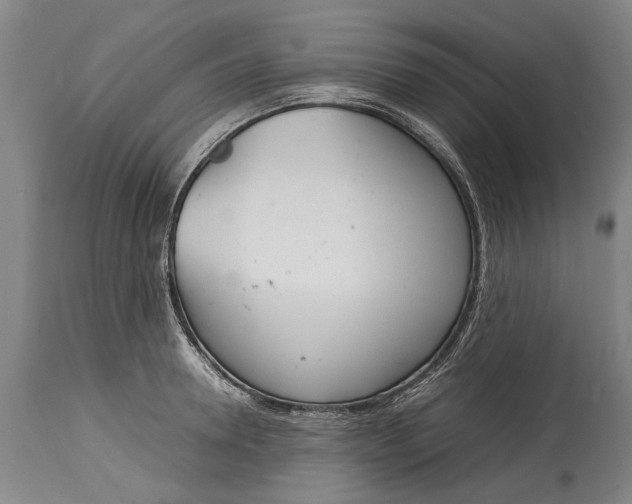 X0000115120946200911171324