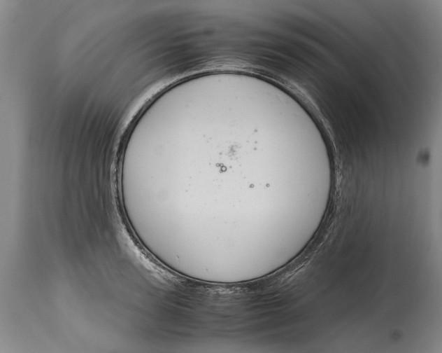 X0000115120947200911171324