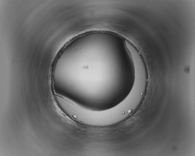 X0000115120950200911171324