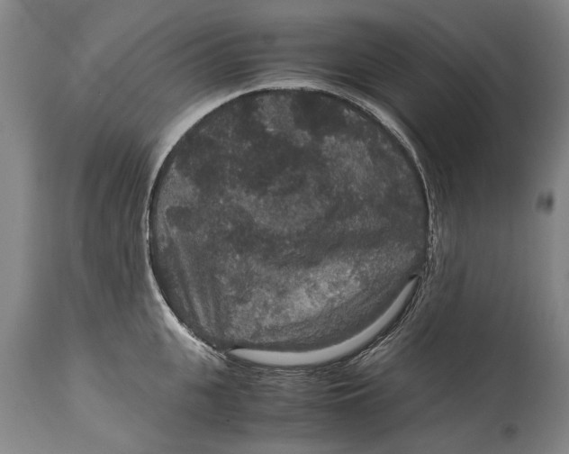 X0000115120951200911171324
