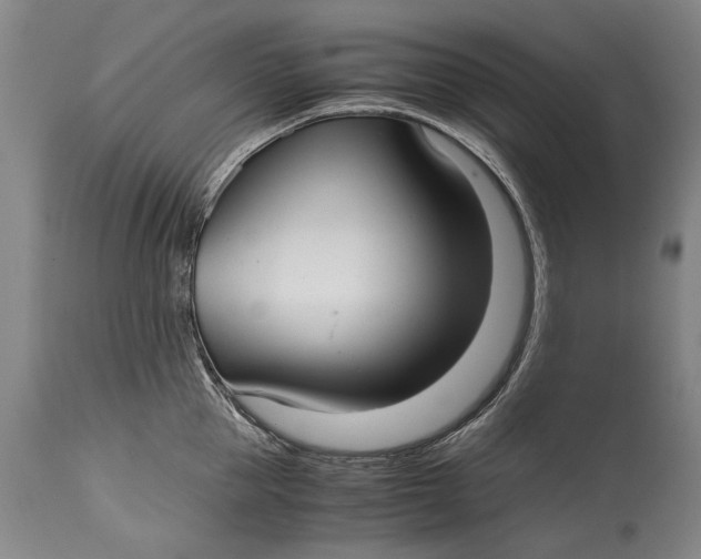 X0000115120953200911171325