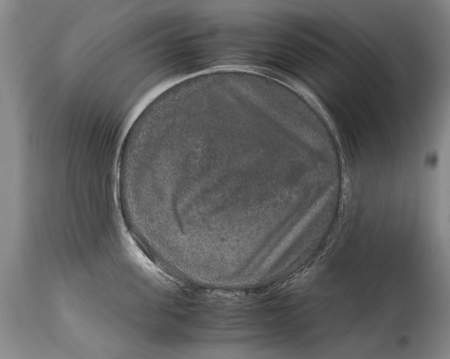 X0000115120955200911171325