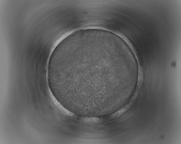 X0000115120957200911171325