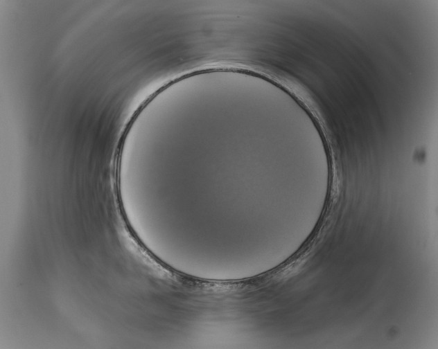 X0000115120958200911171325