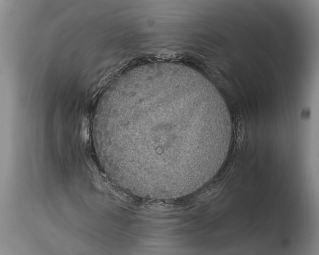 X0000115120962200911171324