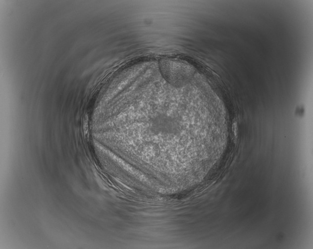 X0000115120963200911171324