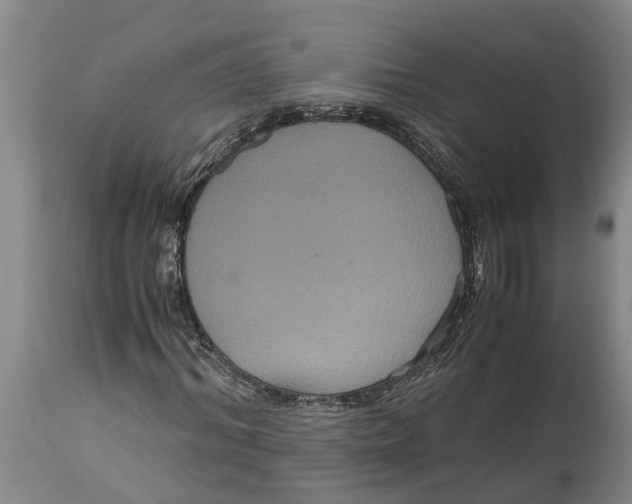 X0000115120964200911171324
