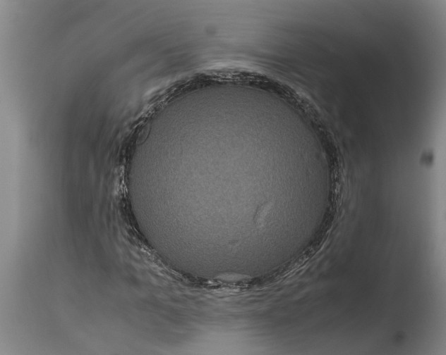 X0000115120965200911171324
