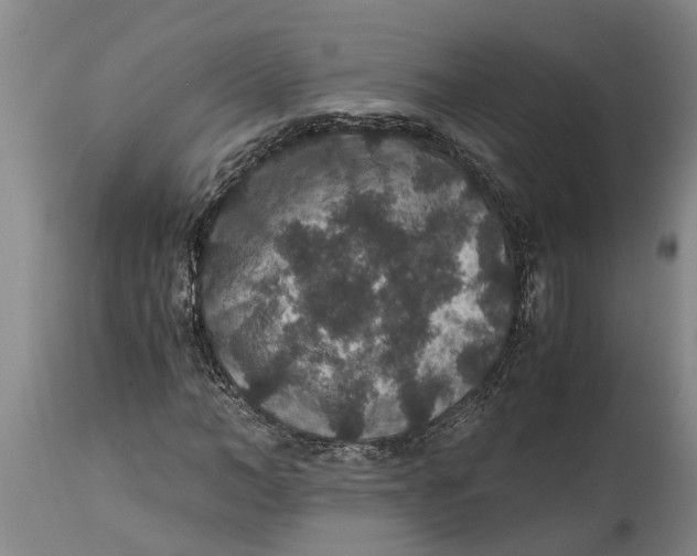 X0000115120966200911171324
