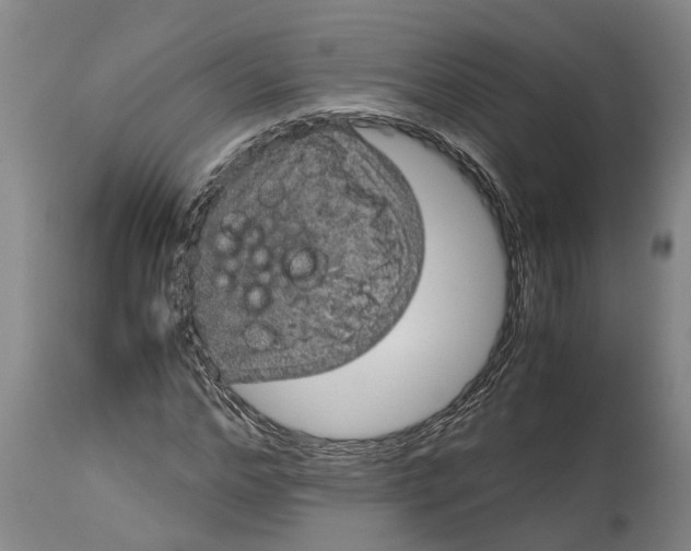 X0000115120968200911171324