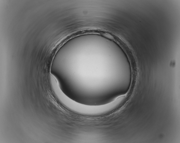 X0000115120969200911171324