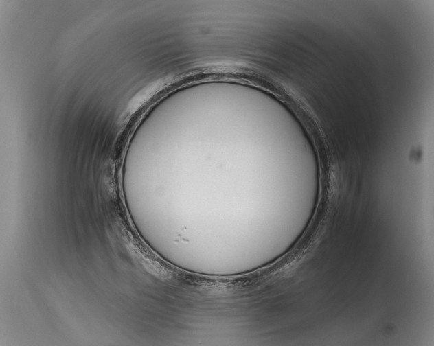 X0000115120970200911171324