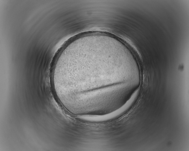 X0000115120972200911171324