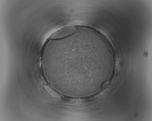 X0000115120973200911171324