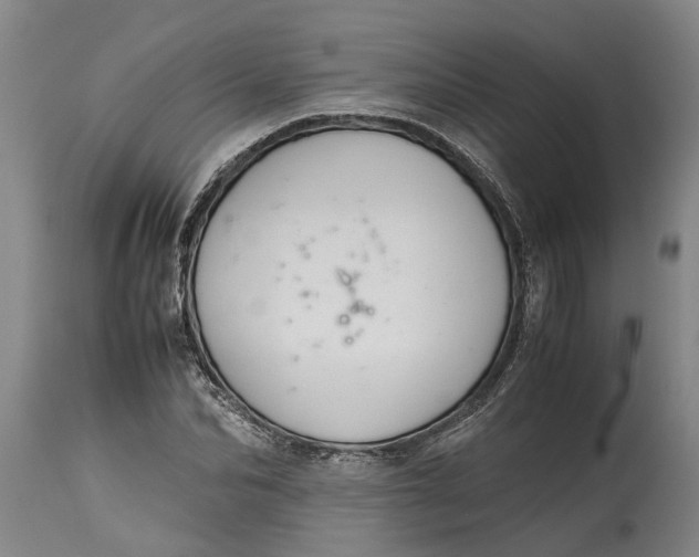 X0000115120974200911171324