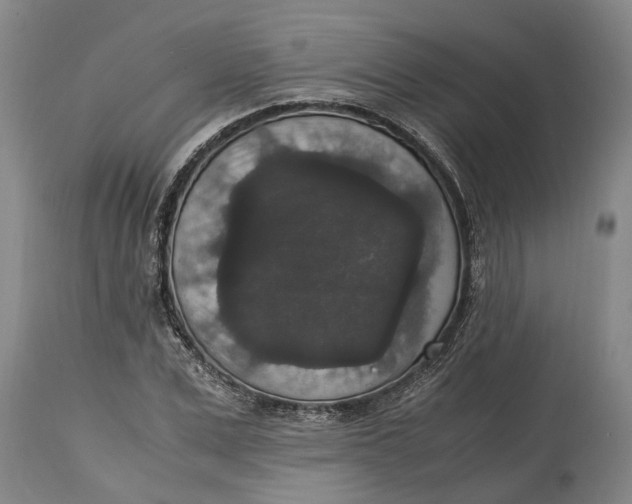 X0000115120975200911171324