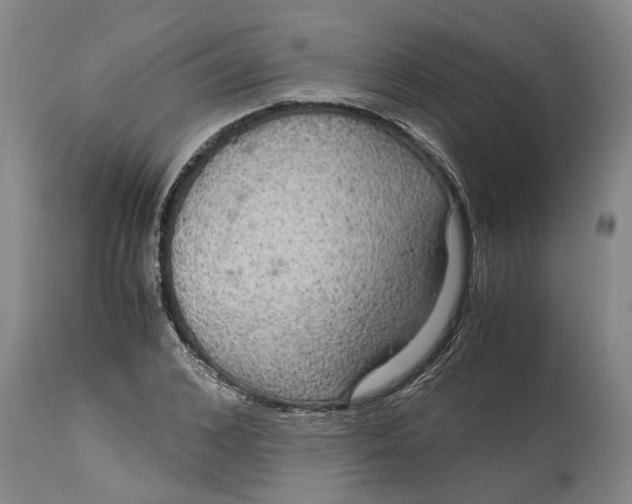 X0000115120976200911171324