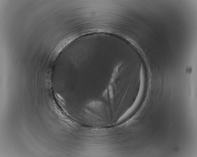 X0000115120977200911171324
